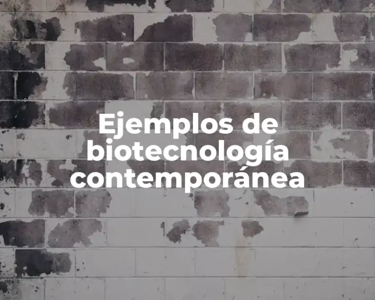 Ejemplos de biotecnología contemporánea