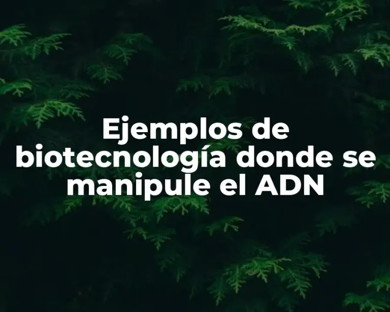 Ejemplos de biotecnología donde se manipule el ADN