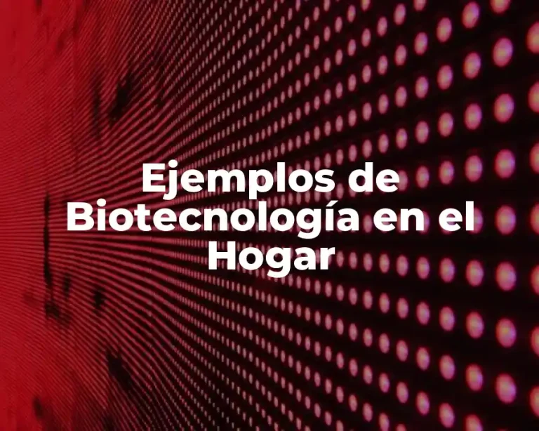 Ejemplos de Biotecnología en el Hogar