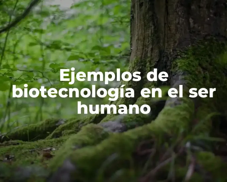 Ejemplos de biotecnología en el ser humano