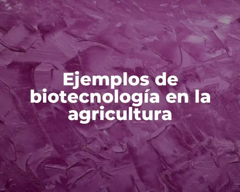 Ejemplos de biotecnología en la agricultura