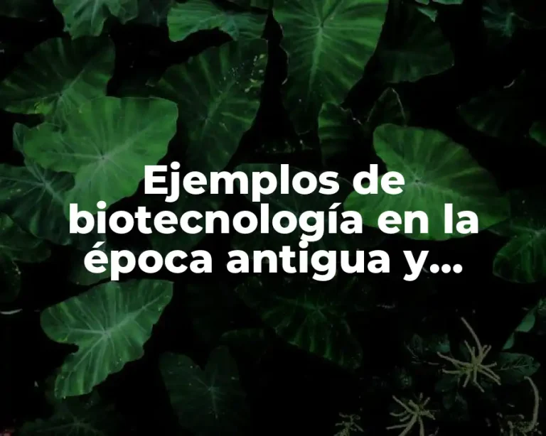 Ejemplos de biotecnología en la época antigua y moderna y Significado