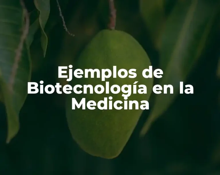 Ejemplos de Biotecnología en la Medicina
