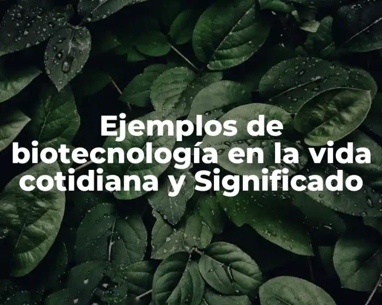 Ejemplos de biotecnología en la vida cotidiana y Significado