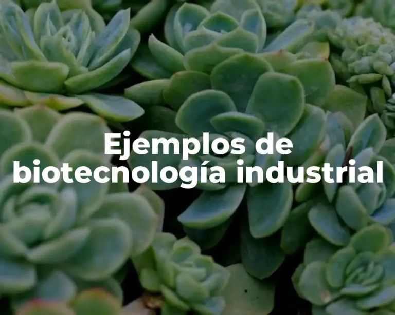 Ejemplos de biotecnología industrial