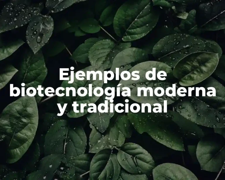 Ejemplos de biotecnología moderna y tradicional