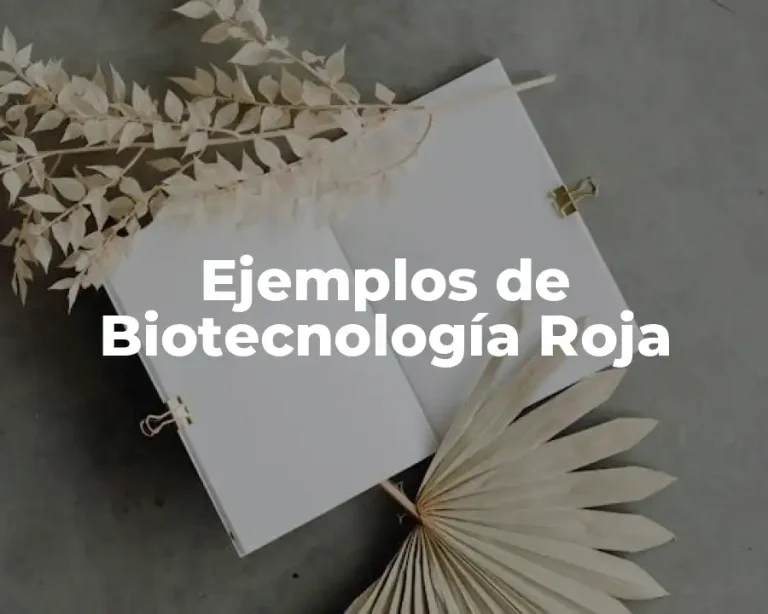 Ejemplos de Biotecnología Roja
