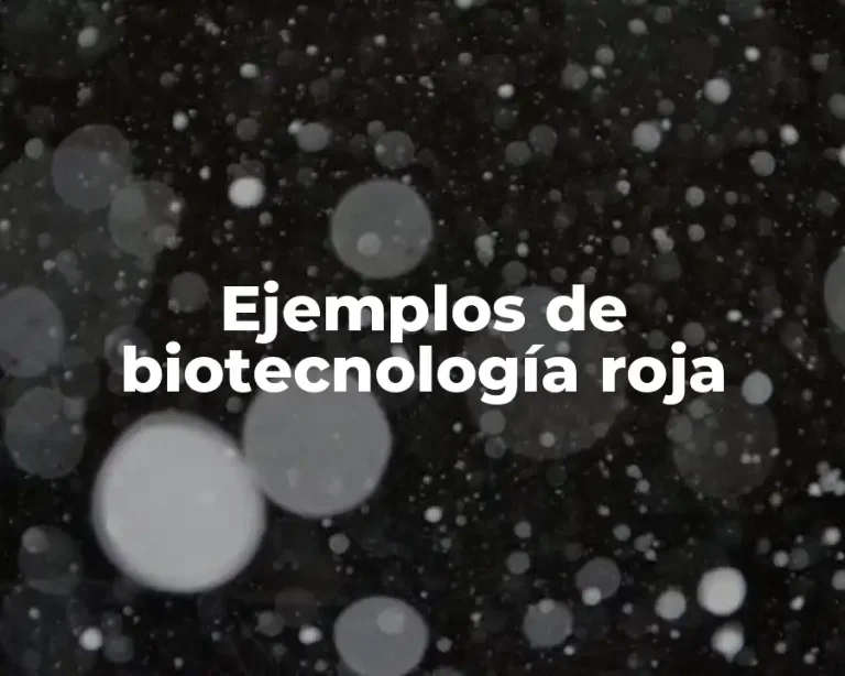 Ejemplos de biotecnología roja