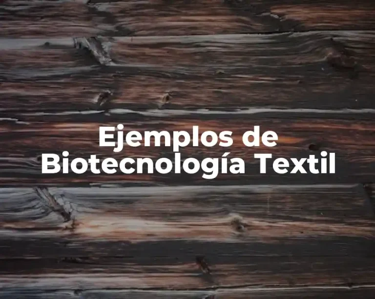 Ejemplos de Biotecnología Textil