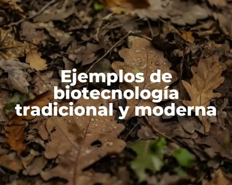 Ejemplos de biotecnología tradicional y moderna