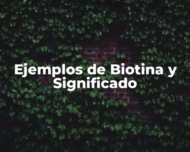 Ejemplos de Biotina y Significado