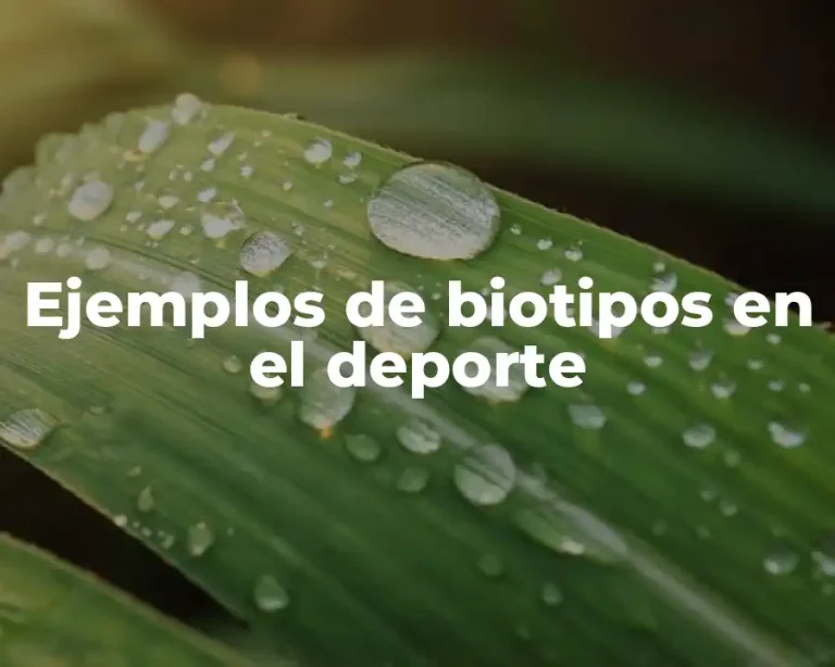 Ejemplos de biotipos en el deporte