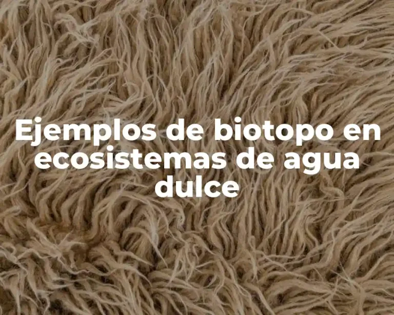 Ejemplos de biotopo en ecosistemas de agua dulce