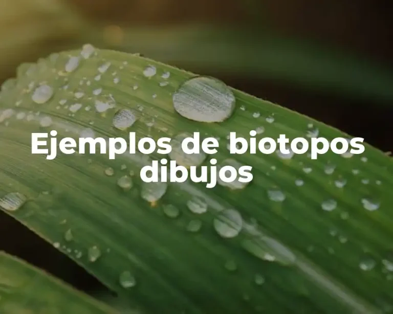 Ejemplos de biotopos dibujos