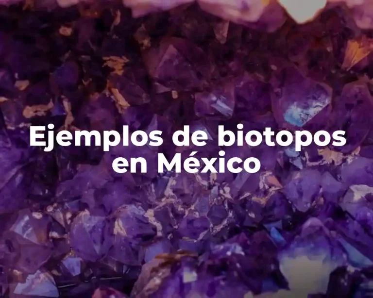 Ejemplos de biotopos en México