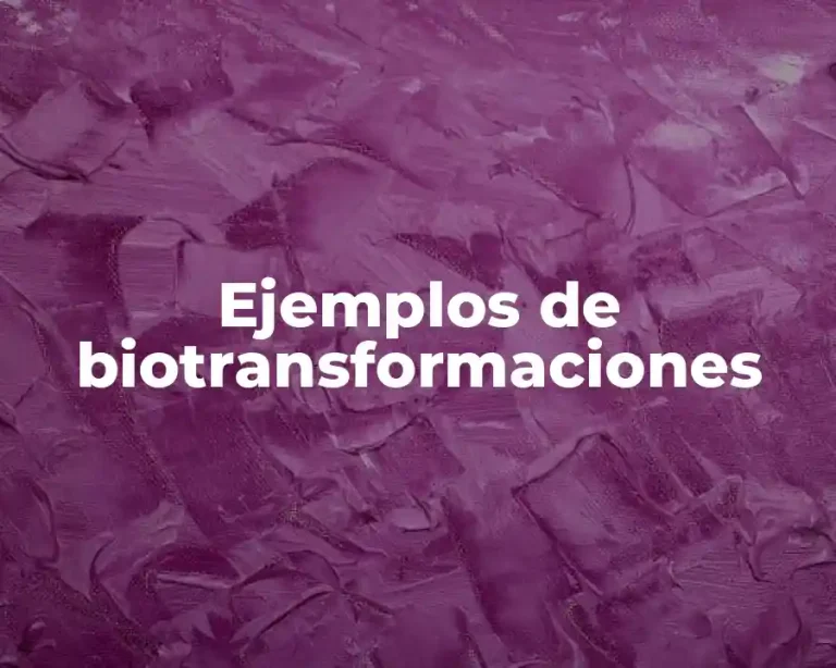 Ejemplos de biotransformaciones