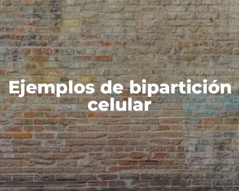 Ejemplos de bipartición celular