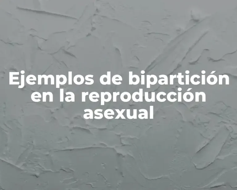 Ejemplos de bipartición en la reproducción asexual
