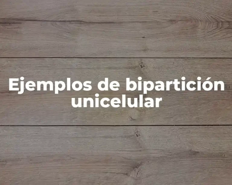Ejemplos de bipartición unicelular