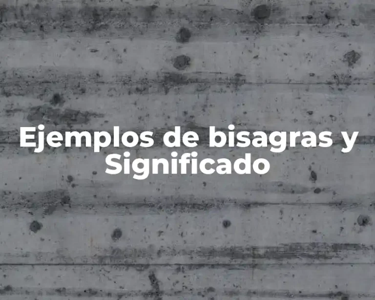 Ejemplos de bisagras y Significado