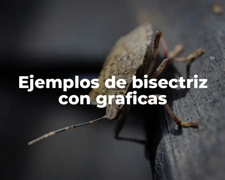 Ejemplos de bisectriz con graficas