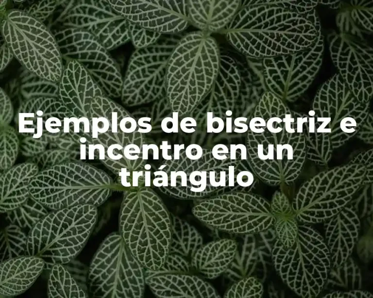 Ejemplos de bisectriz e incentro en un triángulo