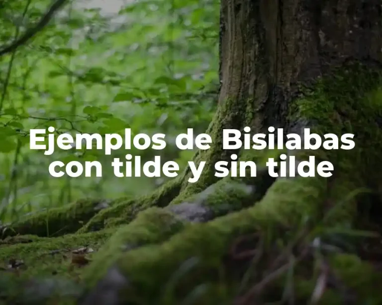 Ejemplos de Bisilabas con tilde y sin tilde
