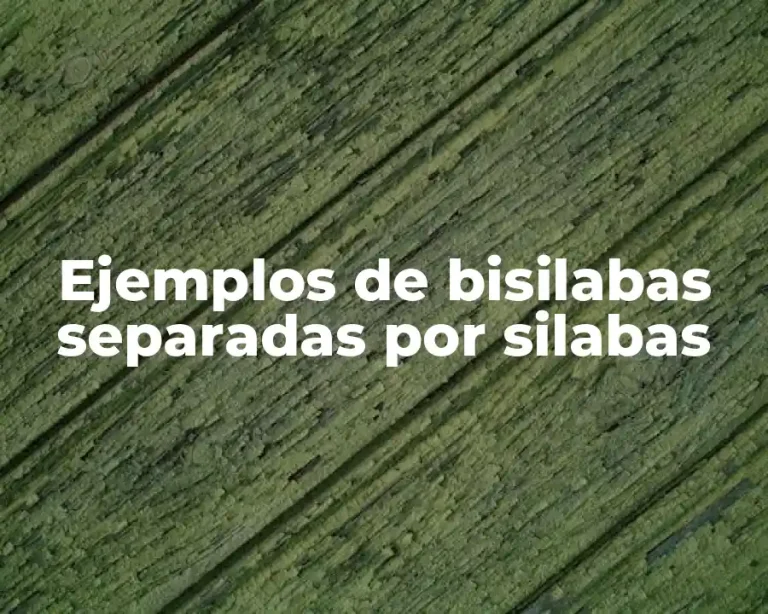 Ejemplos de bisilabas separadas por silabas