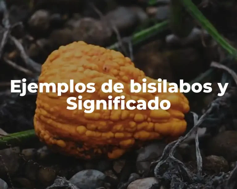 Ejemplos de bisilabos y Significado