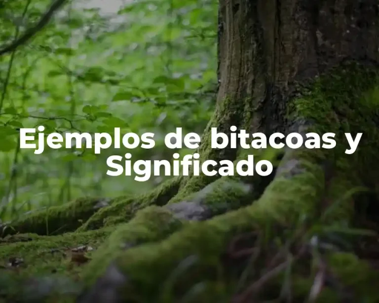 Ejemplos de bitacoas y Significado