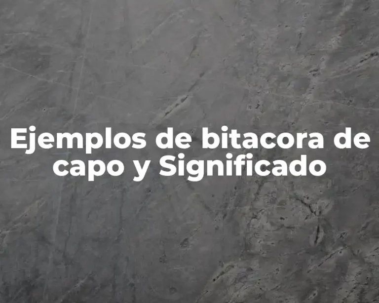 Ejemplos de bitacora de capo y Significado