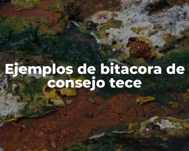 Ejemplos de bitacora de consejo tece