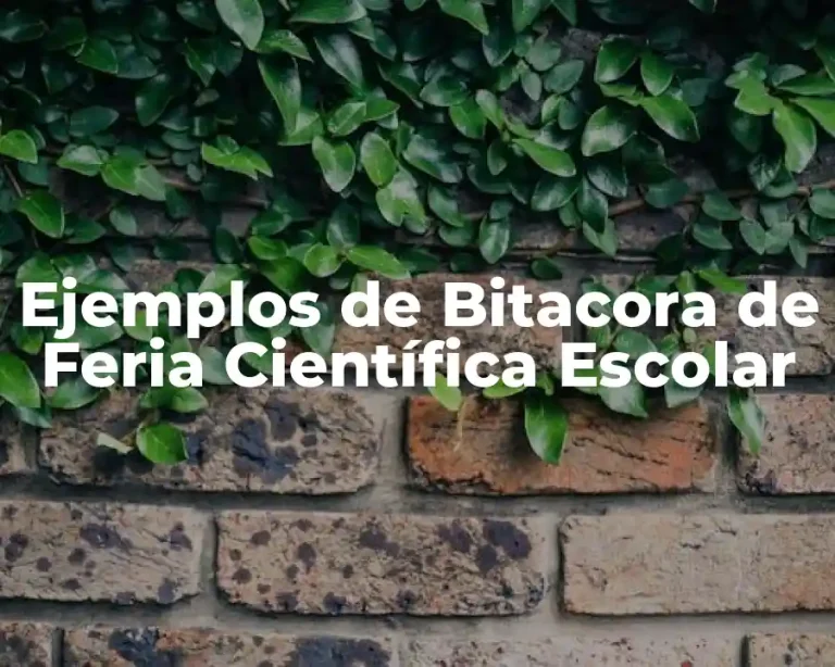 Ejemplos de Bitacora de Feria Científica Escolar