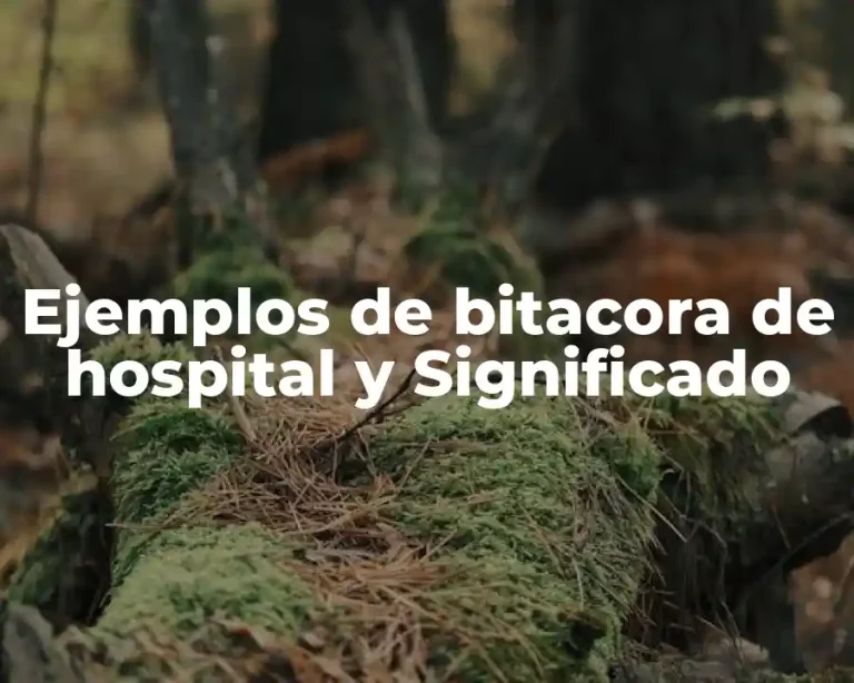 Ejemplos de bitacora de hospital y Significado