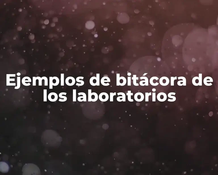 Ejemplos de bitácora de los laboratorios