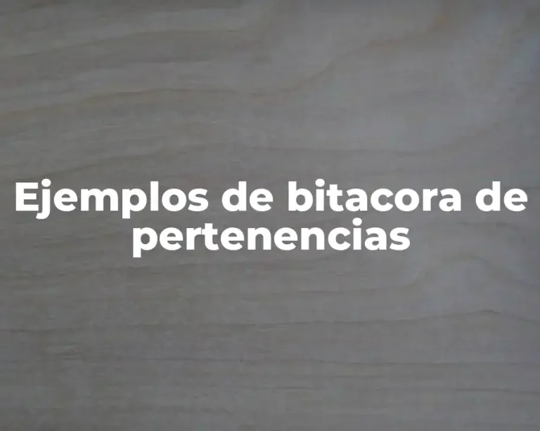 Ejemplos de bitacora de pertenencias