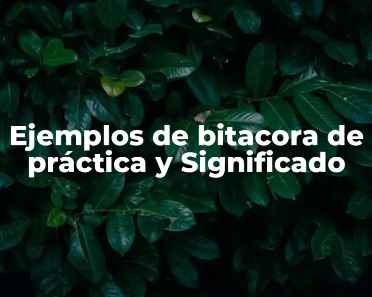 Ejemplos de bitacora de práctica y Significado