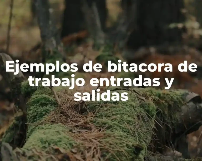 Ejemplos de bitacora de trabajo entradas y salidas
