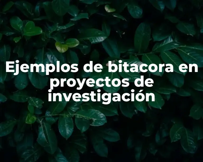 Ejemplos de bitacora en proyectos de investigación