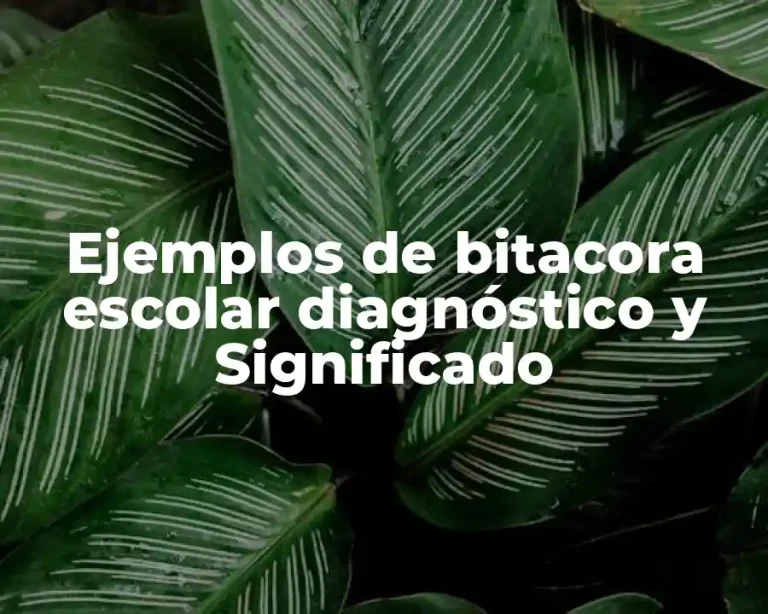 Ejemplos de bitacora escolar diagnóstico y Significado