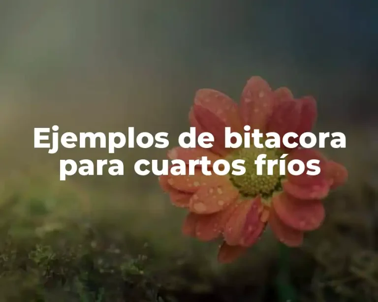 Ejemplos de bitacora para cuartos fríos