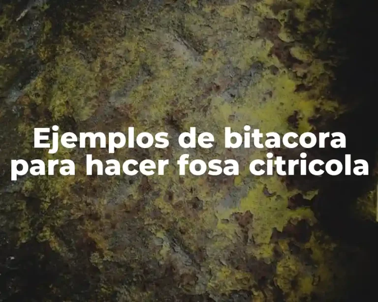 Ejemplos de bitacora para hacer fosa citricola