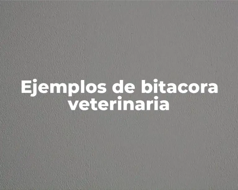 Ejemplos de bitacora veterinaria