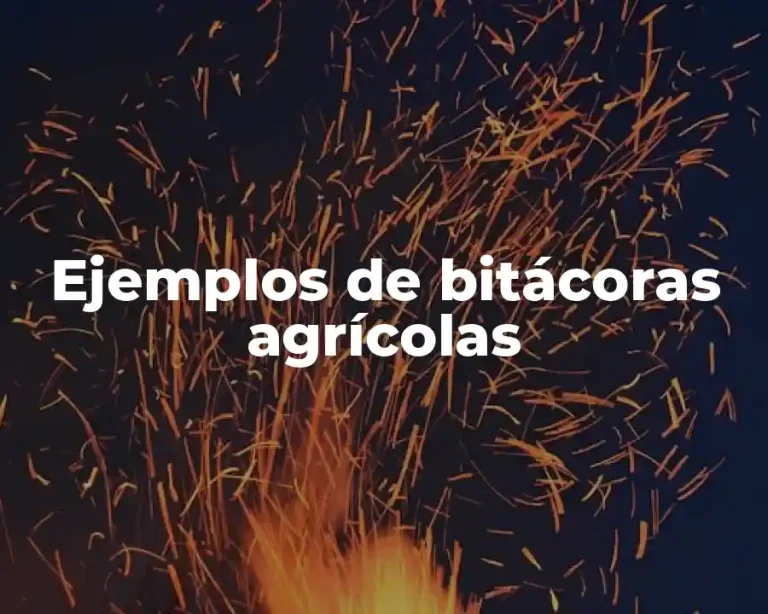 Ejemplos de bitácoras agrícolas