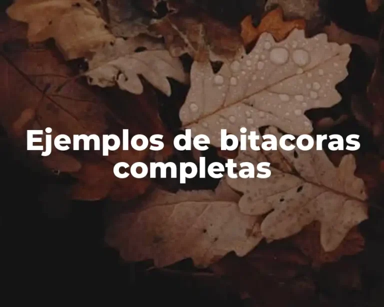 Ejemplos de bitacoras completas