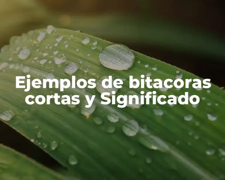 Ejemplos de bitacoras cortas y Significado
