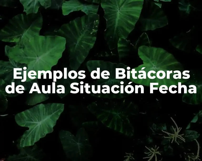 Ejemplos de Bitácoras de Aula Situación Fecha
