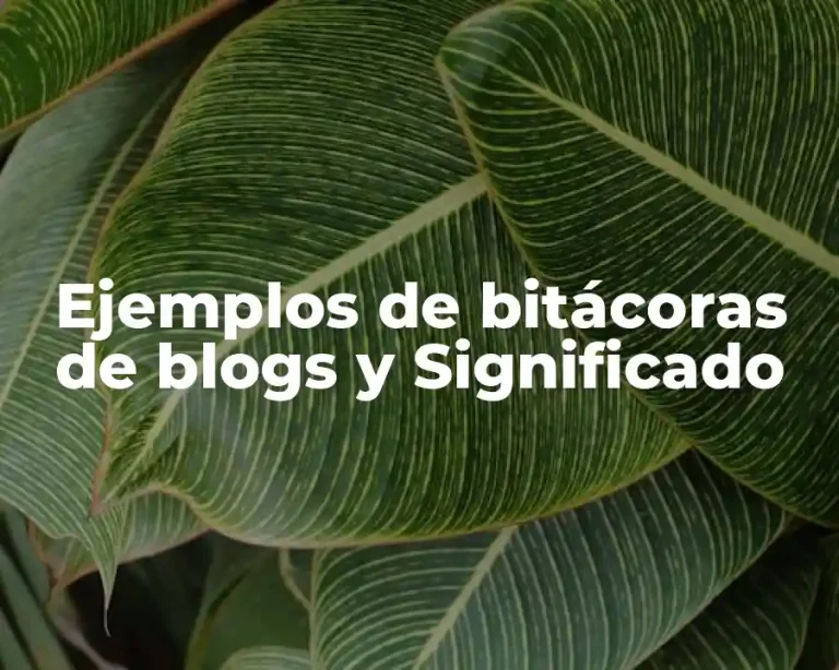 Ejemplos de bitácoras de blogs y Significado