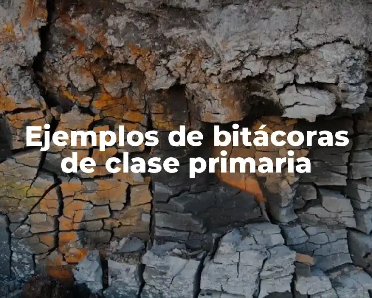 Ejemplos de bitácoras de clase primaria