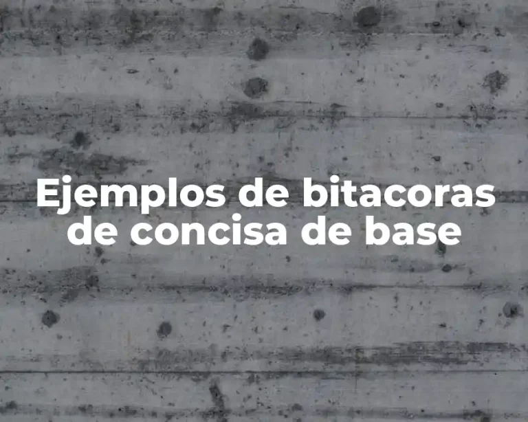 Ejemplos de bitacoras de concisa de base